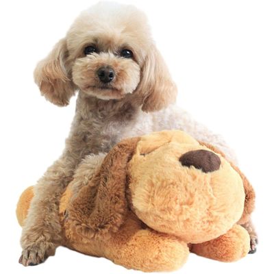 MCBOSON Juguetes para cachorros con latido de corazón, compañero dormir