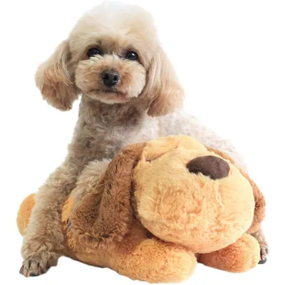 Jouets pour chiots avec Heartbeat Dog Sleep Buddy