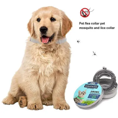 MCBOSON Collier anti-tiques pour chien