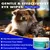Lingettes nettoyantes yeux de chat et de chien