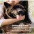 MCBOSON Augenreinigungstücher für Katzen und Hunde MCBOSON Augenreinigungstücher für Katzen und Hunde