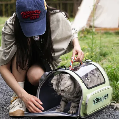 MCBOSON Sac de transport pour chat et petit chien  pliable