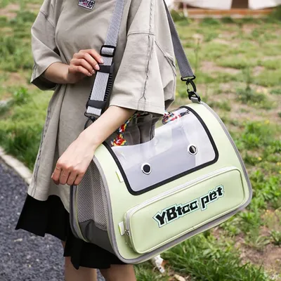 MCBOSON Sac de transport pour chat et petit chien  pliable