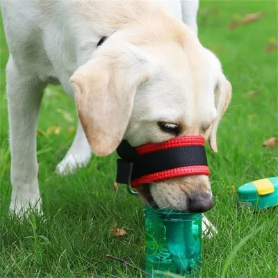 IntiMeg Maulkorb für Hunde, gegen Beißen und Verschlucken.