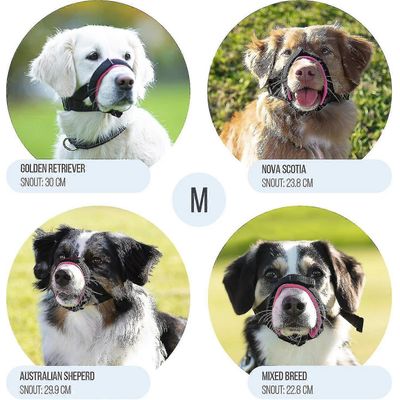 IntiMeg Muzzle pour chiens, anti - morsure et anti - ingestion.