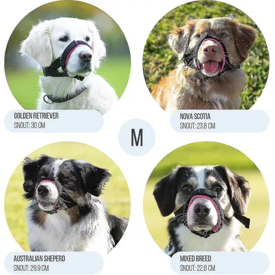 IntiMeg Muzzle pour chiens, anti - morsure et anti - ingestion.