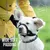 IntiMeg Muzzle pour chiens, anti - morsure et anti - ingestion.