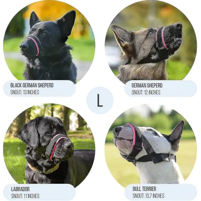 MCBOSON Muselière confortable pour chien
