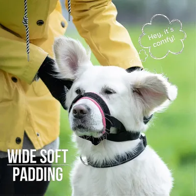 MCBOSON Muselière confortable pour chien
