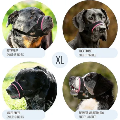 MCBOSON Muselière confortable pour chien