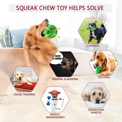 Jouets à mâcher pour chiens, jouets en caoutchouc robustes et grinçants
