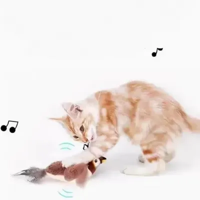 IntiMeg Katzenspielzeug – Interaktiver Vogel