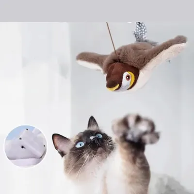 IntiMeg Katzenspielzeug – Interaktiver Vogel