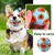 MCBOSON Chien Dog Ball Jouet - Boule Jouet pour Chien