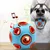 MCBOSON Chien Dog Ball Jouet - Boule Jouet pour Chien