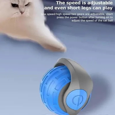 MCBOSON Balle à chat automatique,vitesses réglables