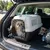 Ferplast Cage de transport pour chats et petits chiens CLIPPER