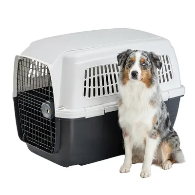 Ferplast Transportbox für mittelgroße Hunde CLIPPER