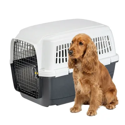 Ferplast Cage de transport pour chiens de taille moyenne CLIPPER Ferplast Cage de transport pour chiens de taille moyenne CLIPPER