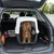 Ferplast Cage de transport pour chiens de taille moyenne CLIPPER Ferplast Cage de transport pour chiens de taille moyenne CLIPPER