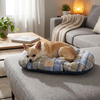 Ferplast Coussin double-face pour chiens et chats. En SCOTT