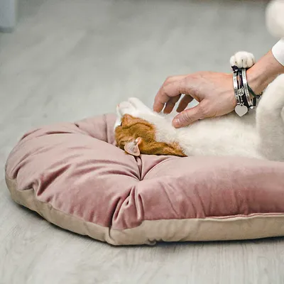 Ferplast Weiches Samtkissen für Hunde und Katzen. PRINCE