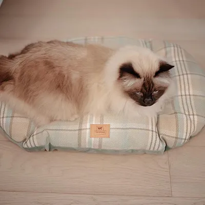 Ferplast Coussin double-face pour chiens et chats. En SCOTT