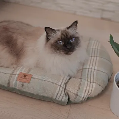 Ferplast Coussin double-face pour chiens et chats. En SCOTT