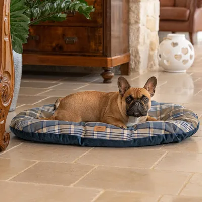Ferplast Coussin double-face pour chiens et chats. En SCOTT