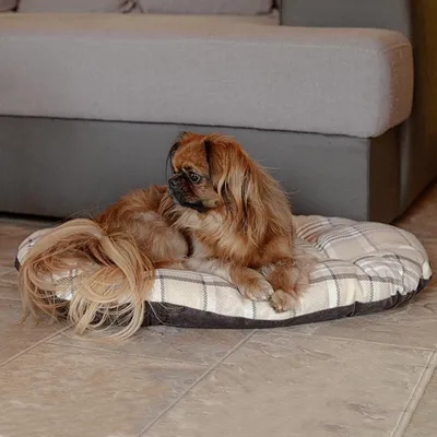 Ferplast Coussin double-face pour chiens et chats. En SCOTT