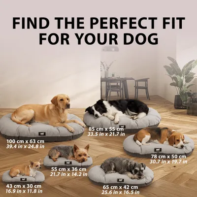 Ferplast Coussin double-face pour chiens et chats. En SCOTT