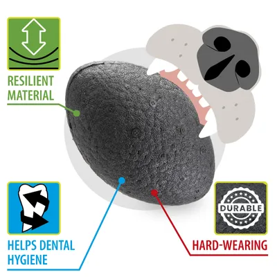 Ferplast Balle de rugby jouet pour chien Ferplast Chewa CHEWA BOING