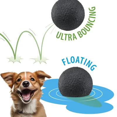 Ferplast Balle jouet pour chien Ferplast Chewa Boing, CHEWA BOING