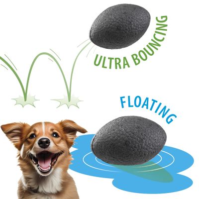 Ferplast Hundespielzeugball, Ferplast Chewa Boing Rugby, CHEWA BOING