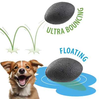 Ferplast Hundespielzeugball, Ferplast Chewa Boing Rugby, CHEWA BOING