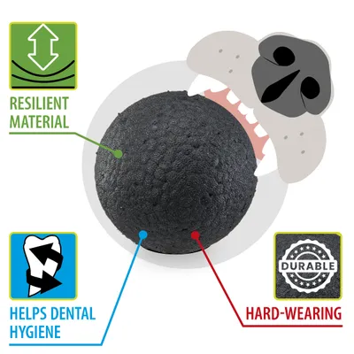 Ferplast Hundespielzeugball, Ferplast Chewa Boing groß, aus CHEWA BOING