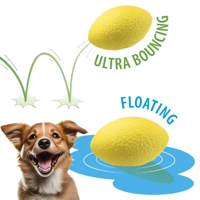 Ferplast Balle de rugby jouet pour chien Ferplast Chewa CHEWA BOING