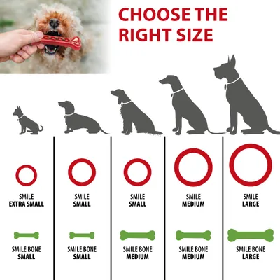 Ferplast Zahnspielzeug für Hunde, Knochen Ferplast Smile SMILE Knochen
