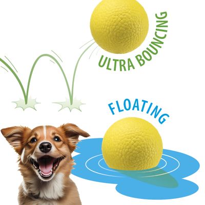 Ferplast Balle jouet pour chien Ferplast Chewa Boing, CHEWA BOING