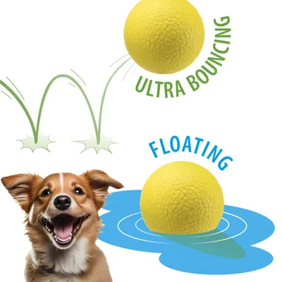 Ferplast Balle jouet pour chien Ferplast Chewa Boing, CHEWA BOING