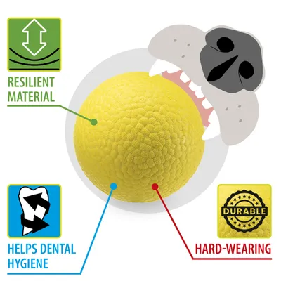 Ferplast Hundespielzeugball, Ferplast Chewa Boing groß, aus CHEWA BOING