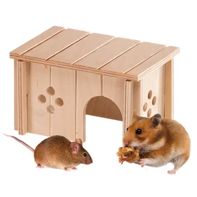 Ferplast Maison pour hamsters Ferplast SIN 4642 en bois FSC SIN 4642