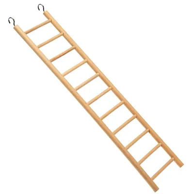 Ferplast Échelle en bois pour petits perroquets, les Echelle PA 4002 Ferplast Échelle en bois pour petits perroquets, les Echelle PA 4002