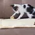 Ferplast Tapis à griffes pour chats en sisal avec balle de Arbre à chats