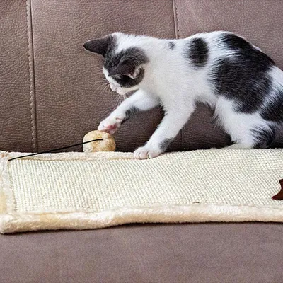Ferplast Tapis à griffes pour chats en sisal avec balle de Arbre à chats