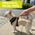 Ferplast Harnais en tissu respirant pour chiens et chats. NIKITA FUR