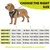 Ferplast Harnais en tissu respirant pour chiens et chats. NIKITA FUR