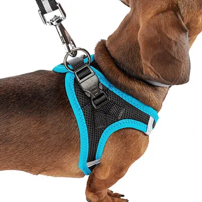 Ferplast Harnais respirant pour chiens avec inserts KAORI P