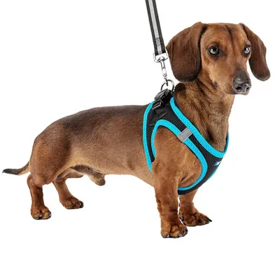 Ferplast Harnais respirant pour chiens avec inserts KAORI P