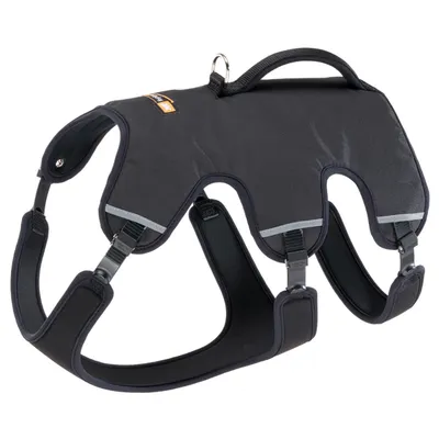 Ferplast Harnais pour chien ergonomique anti-évasion et ERGOTREKKING P Ferplast Harnais pour chien ergonomique anti-évasion et ERGOTREKKING P